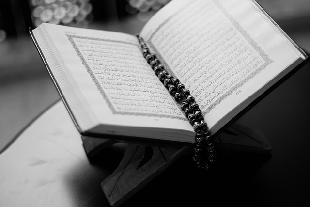 Studie‌ zkoumající skutečné mocenské struktury v islámu