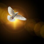 Kdy apoštolové přijímali Ducha Svatého – Příchod Ducha Svatého