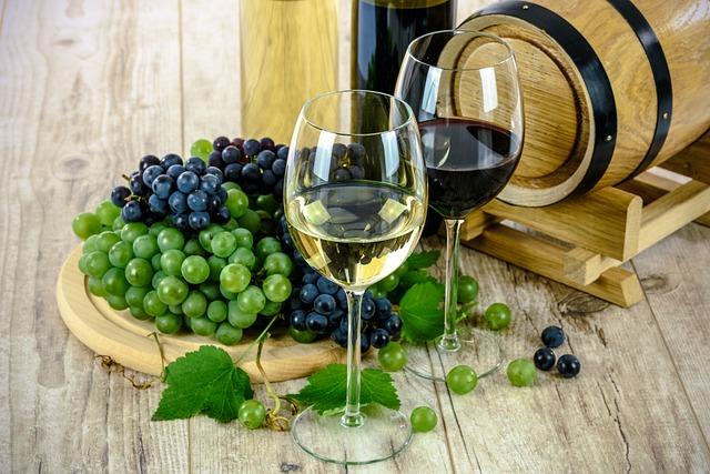 Víno jako nedílná součást svatomartinského oběda: Jaké ⁤odrůdy si vybrat?