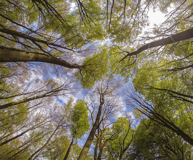 Důležitost míru vestfálského pro náboženskou svobodu v Čechách