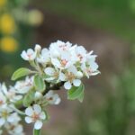 Co je sedmý hřích podle Bible? Etická měřítka a významy