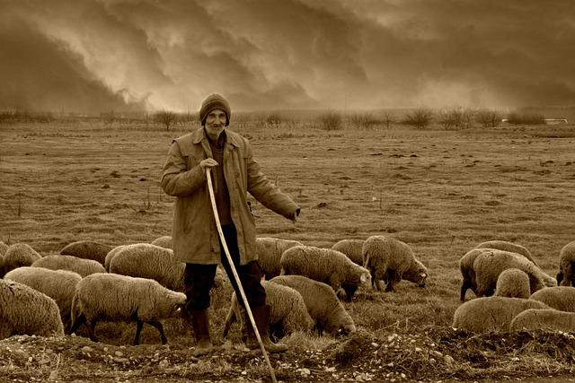 Am 1,1 Bible: Výklad o chovateli ovcí a pastýři