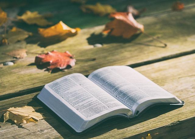 Co víš o Bibli: Testování znalostí posvátného textu
