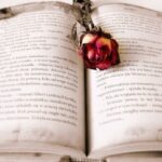 Jaký je literární druh Bible: Analýza biblického textu z hlediska literatury