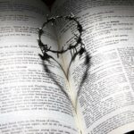 Které verše mne zaujaly z bible v Písní písní?